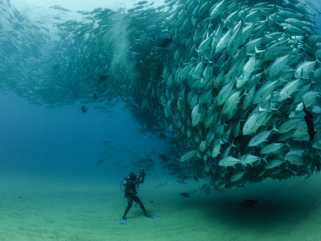 Photo Breaking the Wall of Marine Conservation Limits 