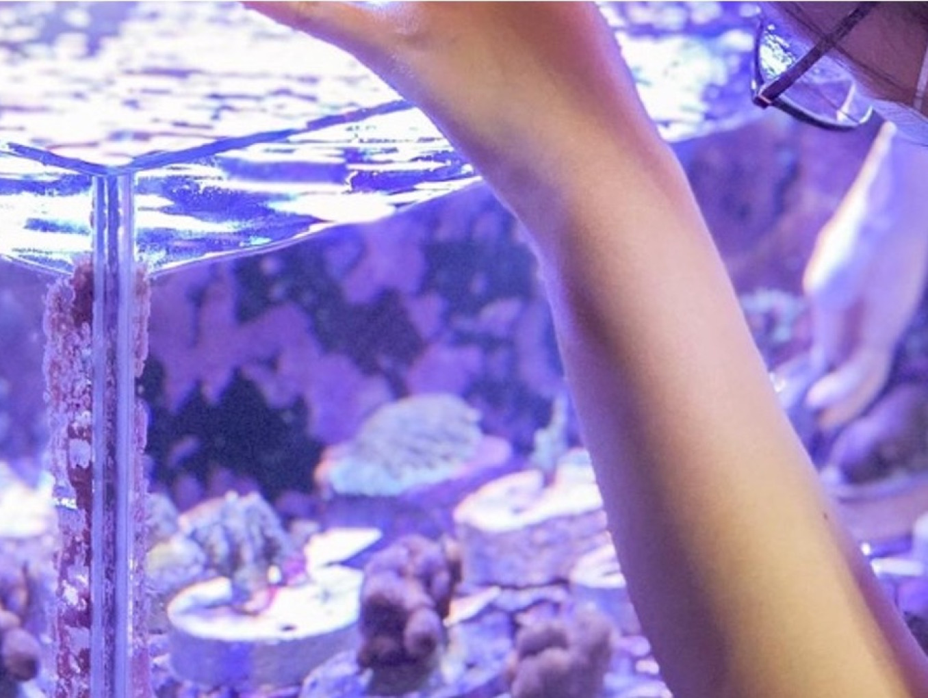 Woman tending to a coral farm