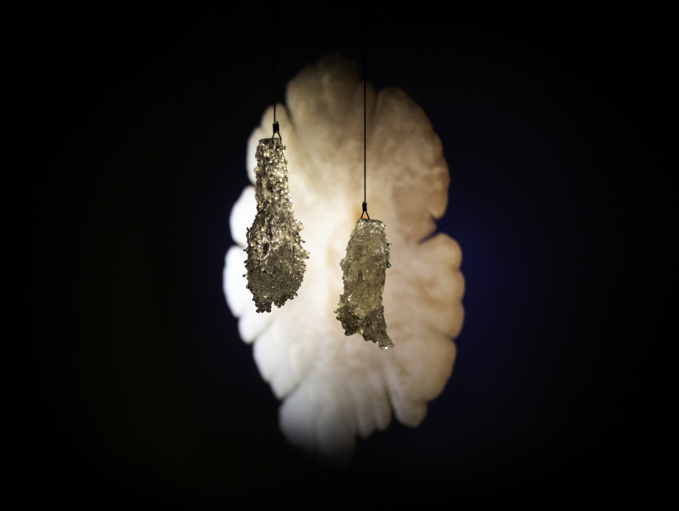 Isidora Correa's project image 