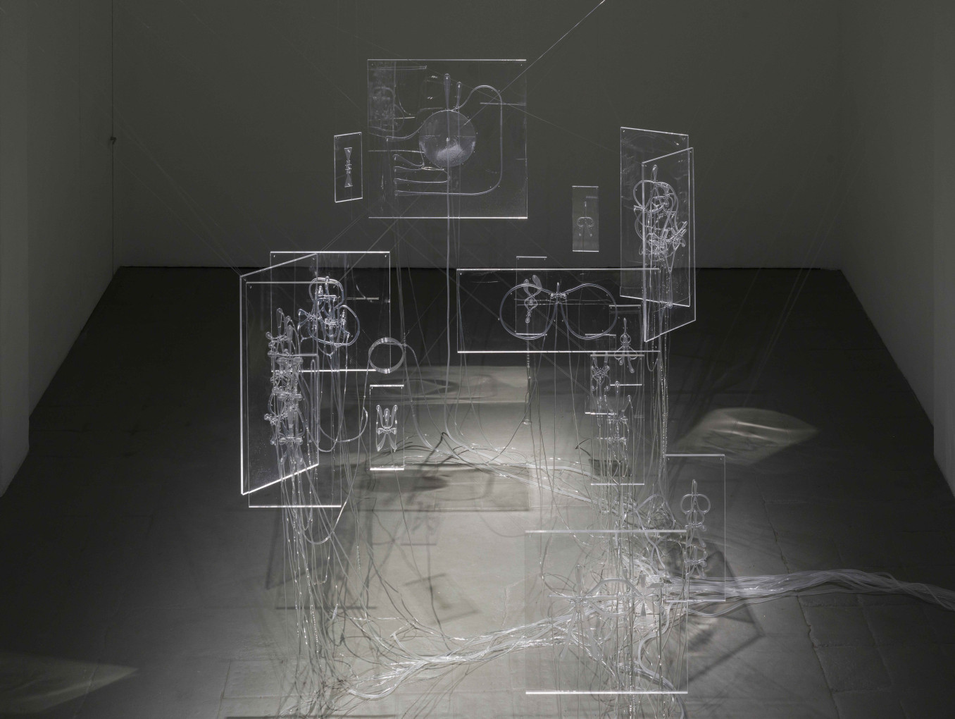 Project image of Ioana Moser 