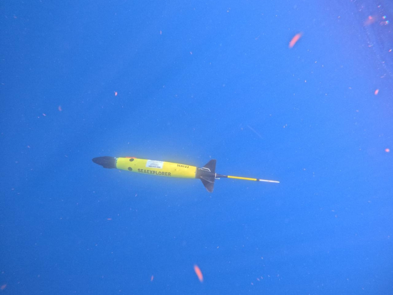 Fieldwork in Dominica, Caribbean, North America