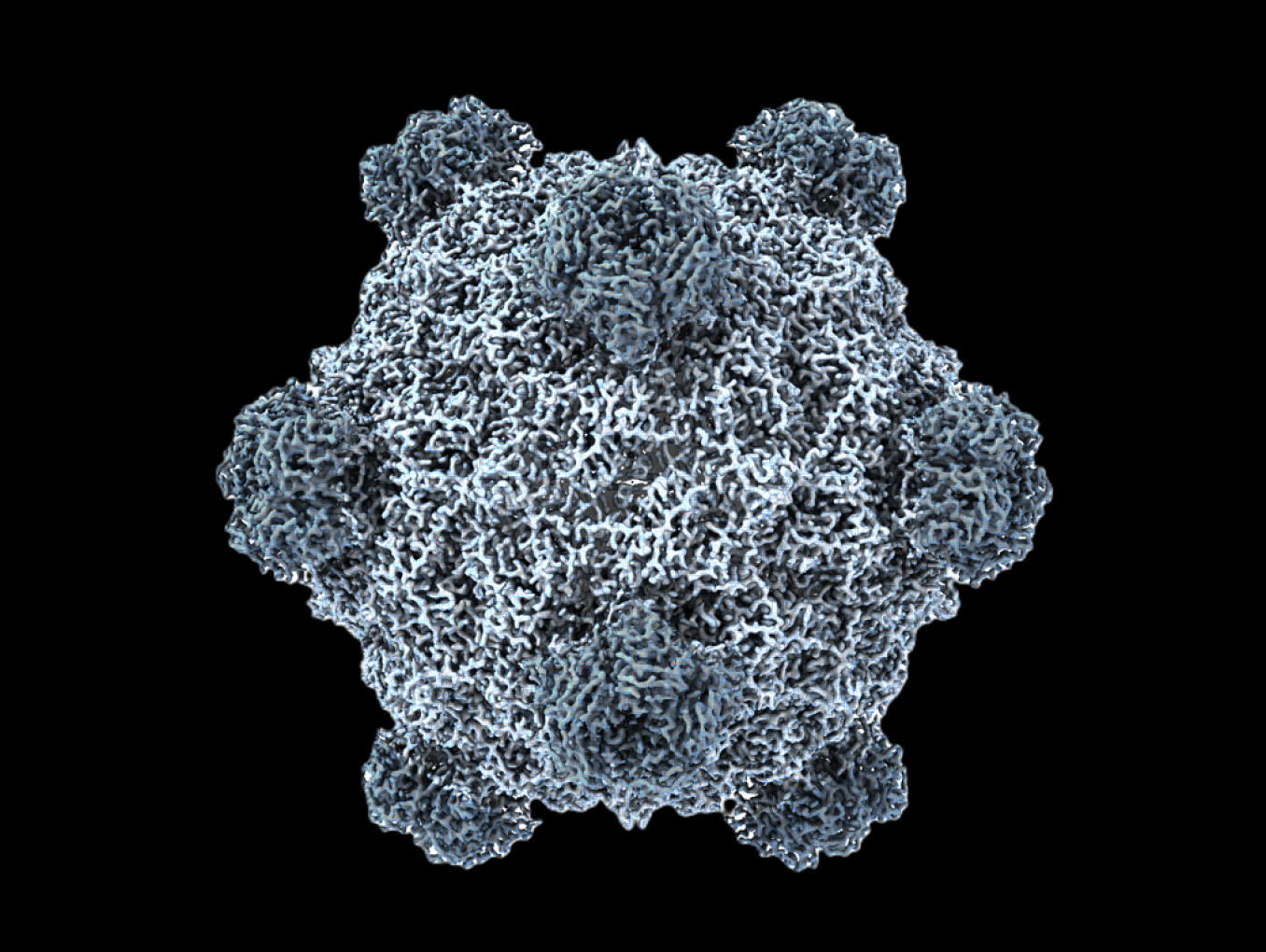 Electron Microscopy Image of a Generated Phage