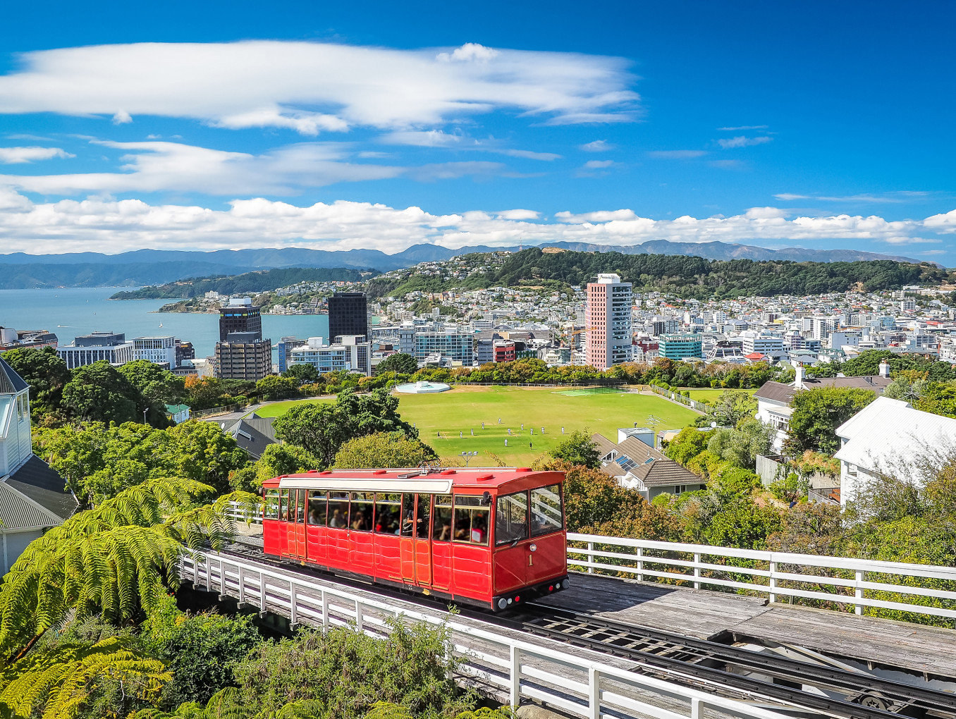Wellington