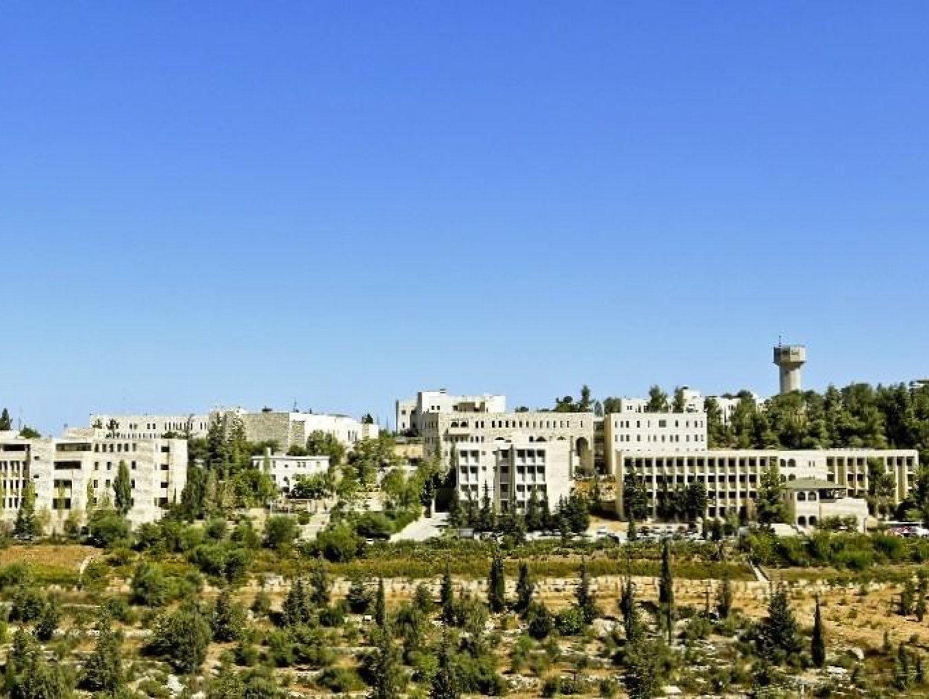 Birzeit