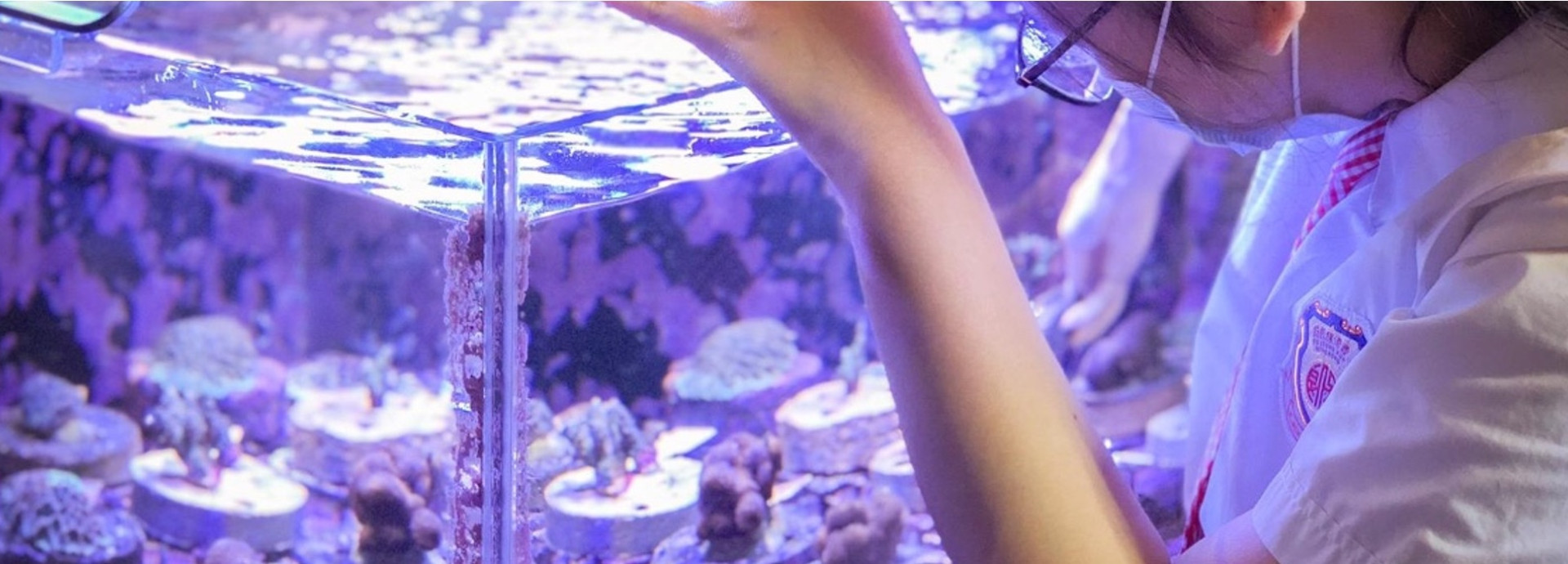 Woman tending to a coral farm