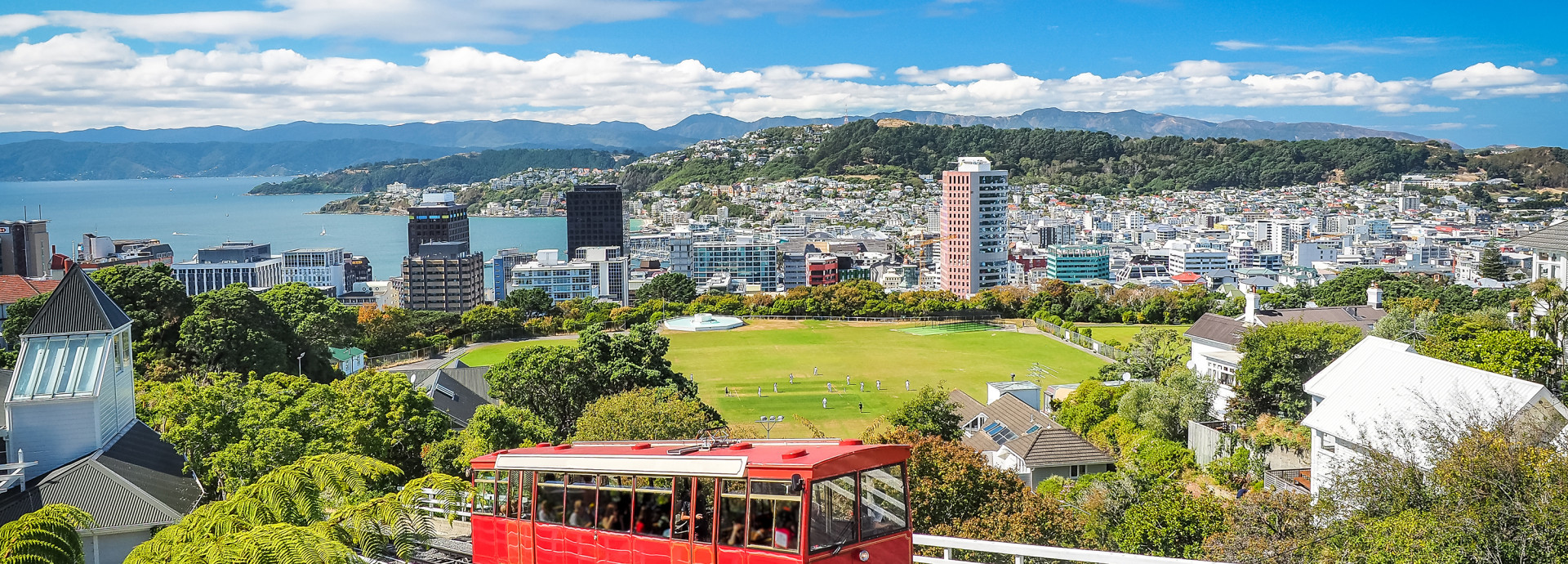 Wellington