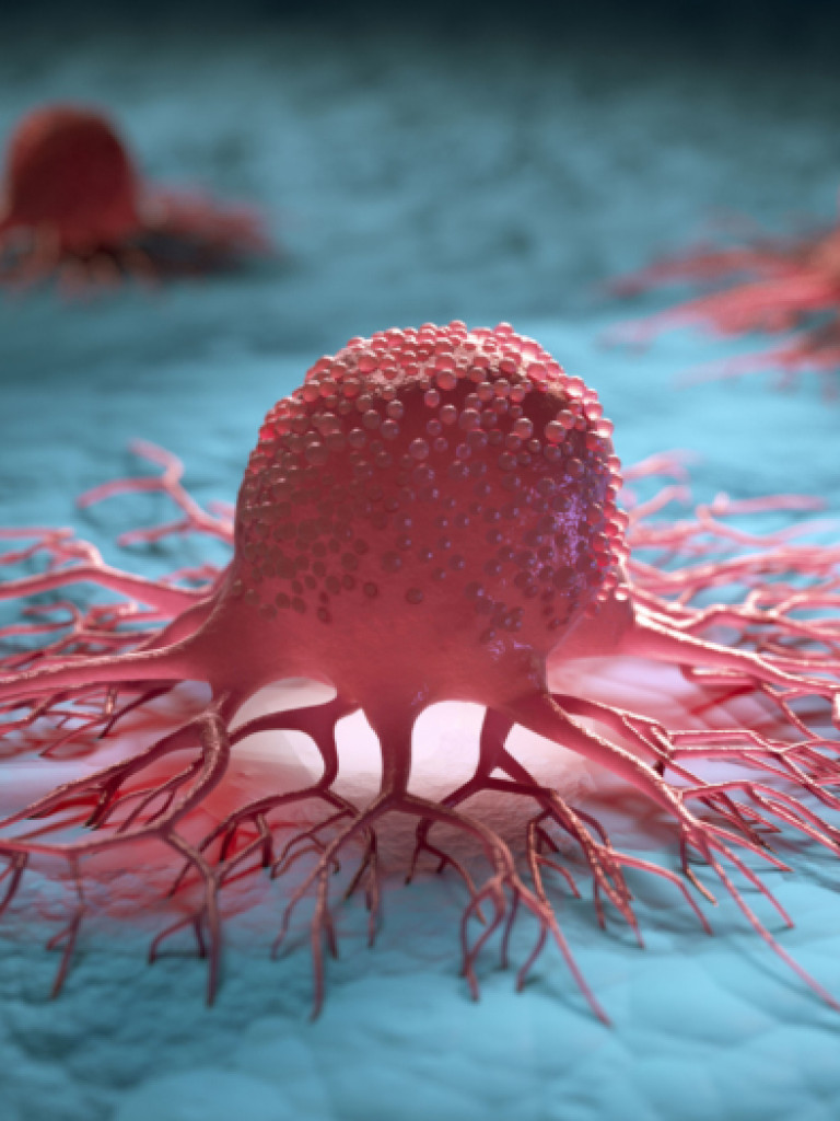 A detailed 3D rendering of three red, irregularly shaped cells, likely cancerous, against a textured blue background. The cell in the foreground is larger and more clearly defined, showing a lumpy surface and numerous branch-like tendrils extending outwards and appearing to anchor it to the surface. The other two cells are less in focus and further in the background, maintaining the microscopic and biological theme.