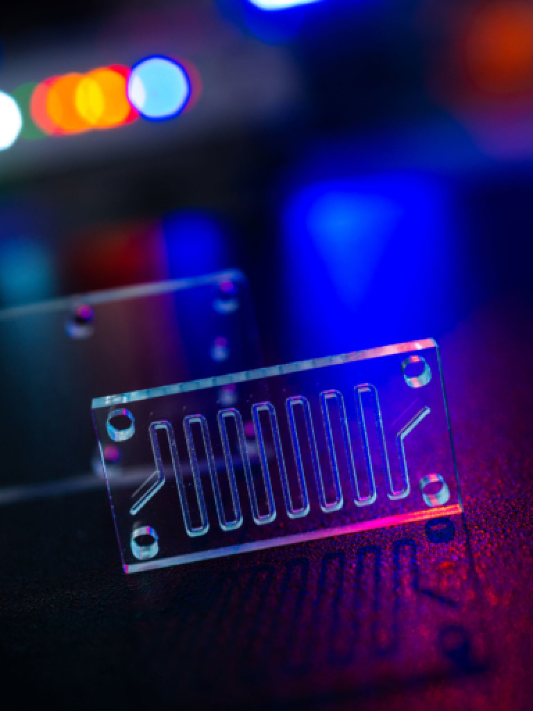 A close-up, low-light shot features two clear, rectangular microfluidic chips with etched channels and holes, resting on a dark, textured surface. The chips are illuminated by vibrant red, blue, and orange lights in the blurred background, creating colorful reflections and an intriguing, high-tech atmosphere. One chip in the foreground clearly shows a pattern of parallel channels.