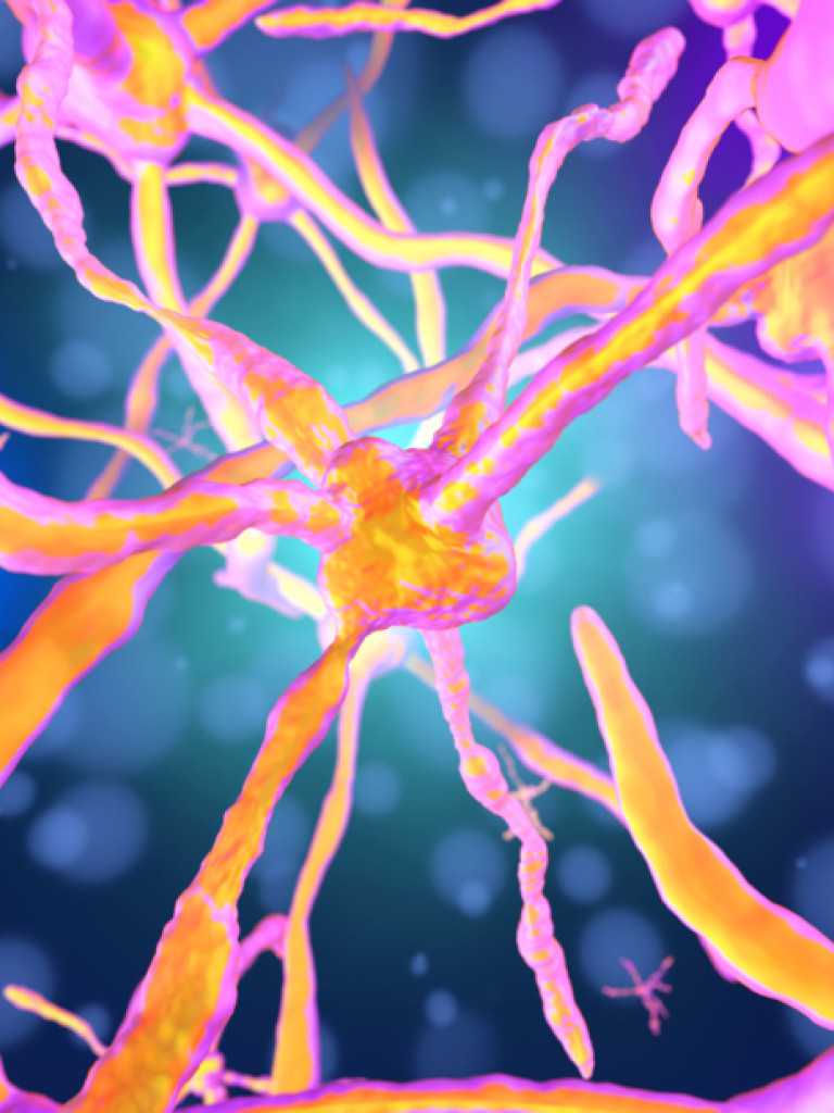 A colorful, abstract digital illustration resembling neurons or nerve cells. The central structures are bright orange with numerous tentacle-like extensions reaching outwards. Some of these extensions appear connected to other similar structures, while others branch off. The background is a vibrant gradient of blue and purple, with small, faint circular light effects, suggesting a microscopic or biological context.
