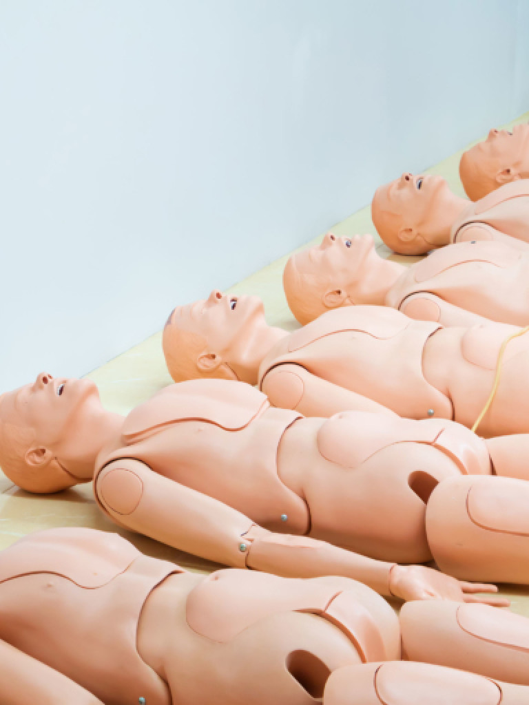 an image of several unclothed humanoid dolls probably designed for practicing mouth-to-mouth resuscitation or medical practices. 