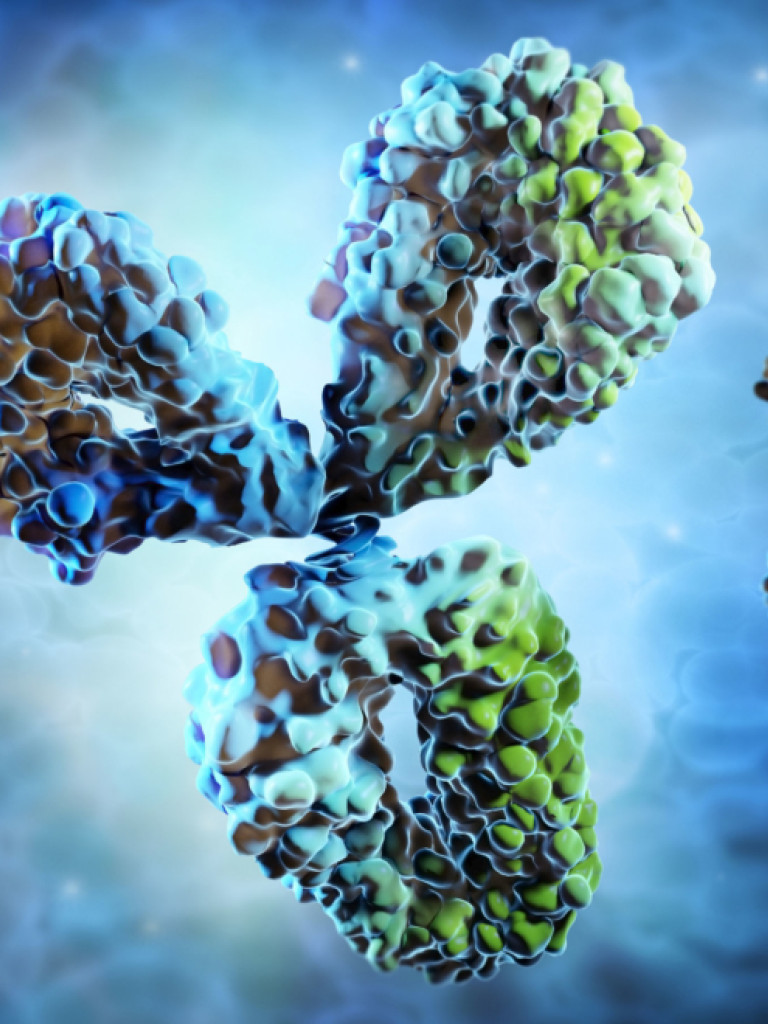 A vibrant 3D rendering depicts multiple antibody molecules, or immunoglobulins, against a swirling blue and purple background. The largest antibody in the center is highly detailed, showing a Y-shaped structure composed of textured, globular domains in shades of blue, brown, and green. Smaller, less distinct antibody molecules are visible in the blurred foreground and background, suggesting a biological or microscopic environment.