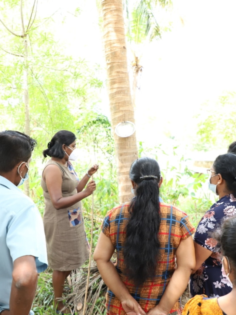 The Community-Directed Health Care Volunteers in Medawachchiya, Sri Lanka.
