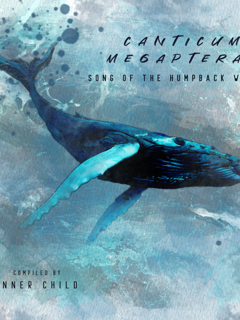 Canticum Megapterae