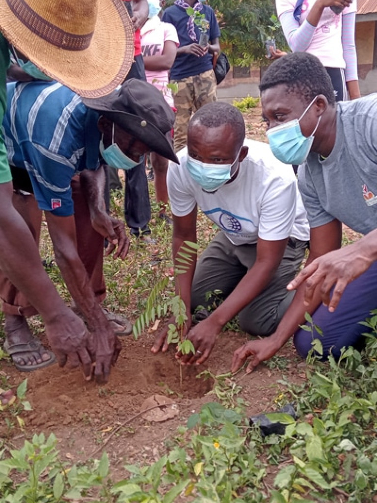 Climate Smart Tree Planting