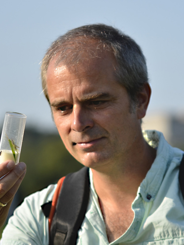 Nico Blüthgen