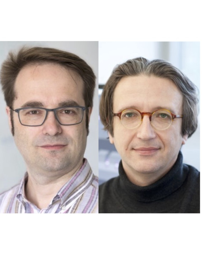 Martin Plenio, Fedor Jelezko