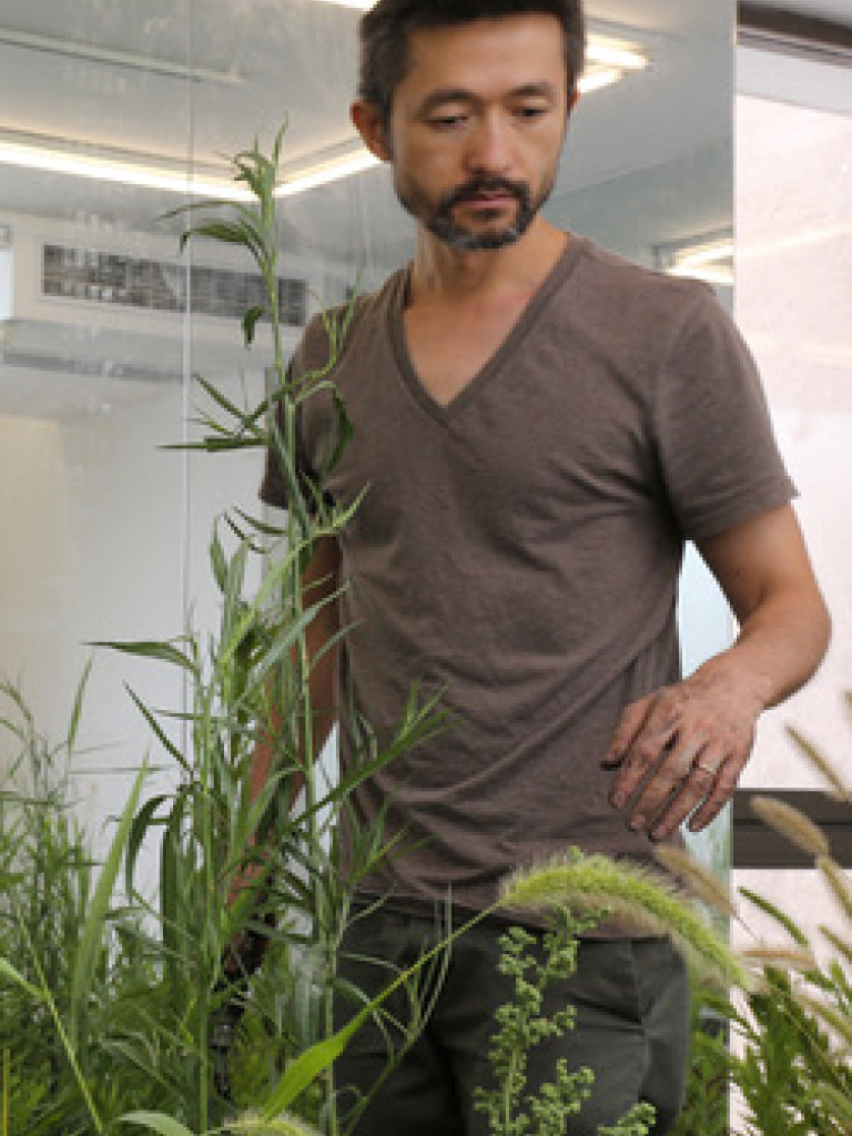 Zheng Bo