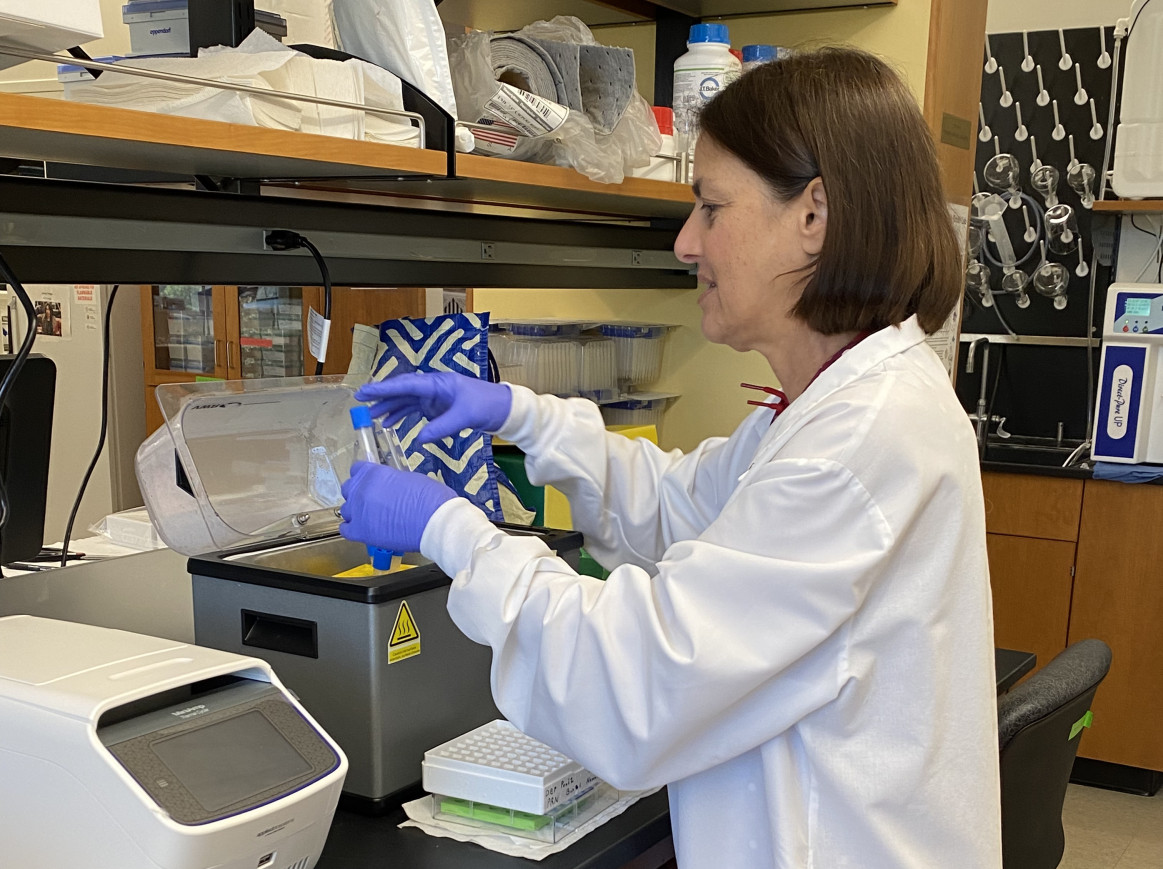 Fejzo isolating patient DNA in her labatory