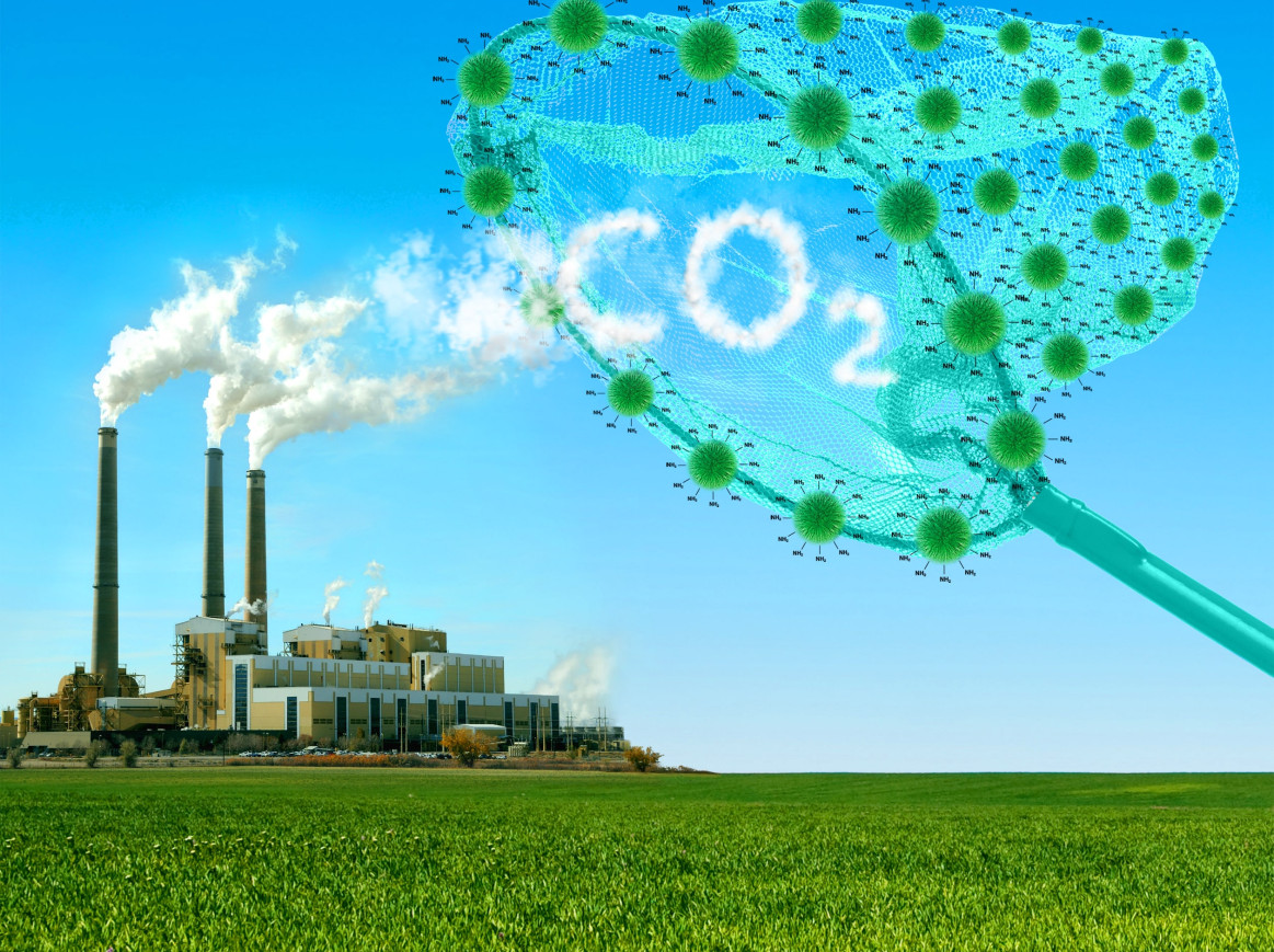 Picture of plant and CO2