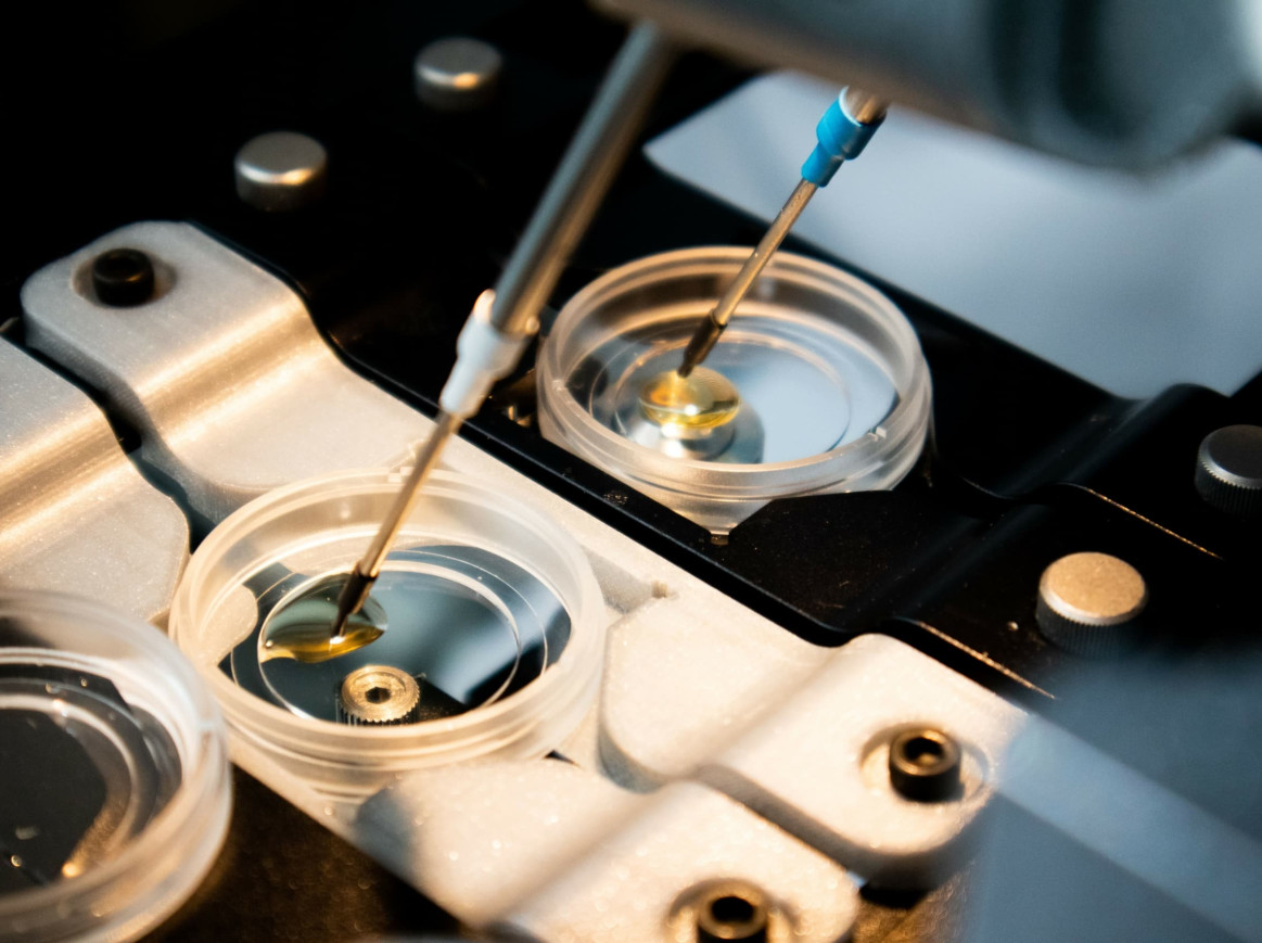 Lab 