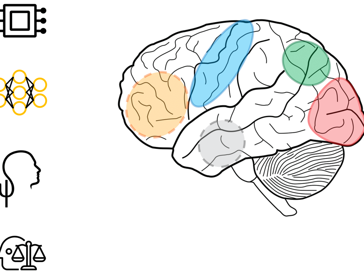 Picture of brain 
