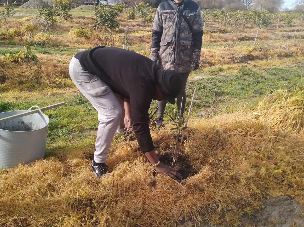 two people are planting a small tree